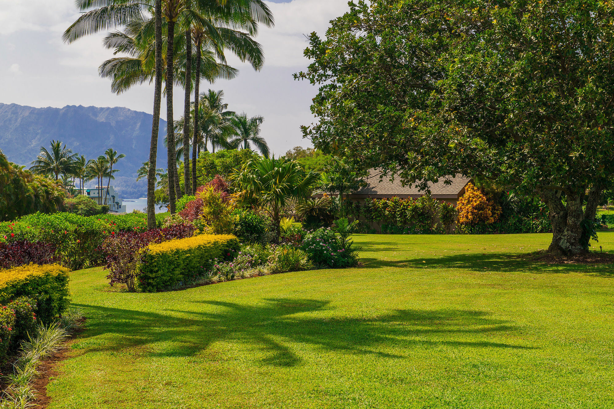 Princeville Oceanfront Villas Kauai Exterior photo